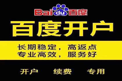 百度推广实战案例：成功之路